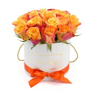 Bucket of Love