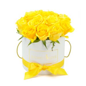 Bucket of Love