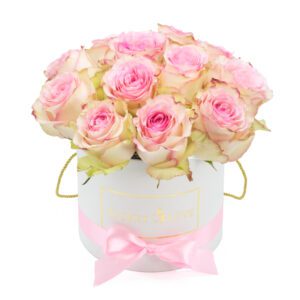 Bucket of Love