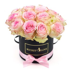 Bucket of Love