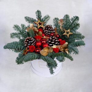 December Embrace