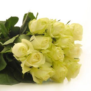 51_silver_dewdrops_fa10972_enlarge-2