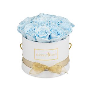 A-Star-is-Born_Bucket-of-Love_3