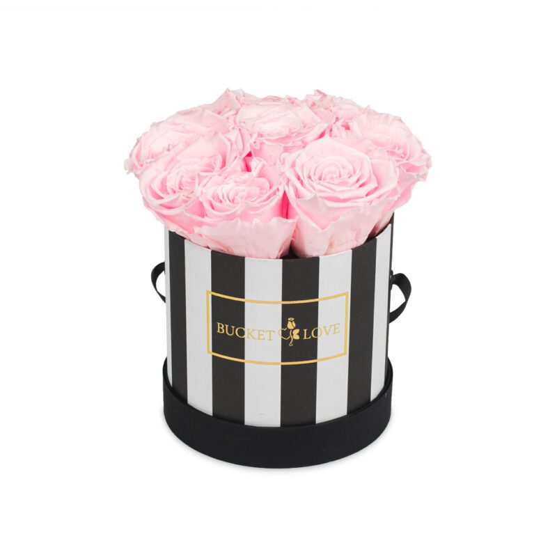 All-You-Need-is-Love_Bucket-of-Love_2