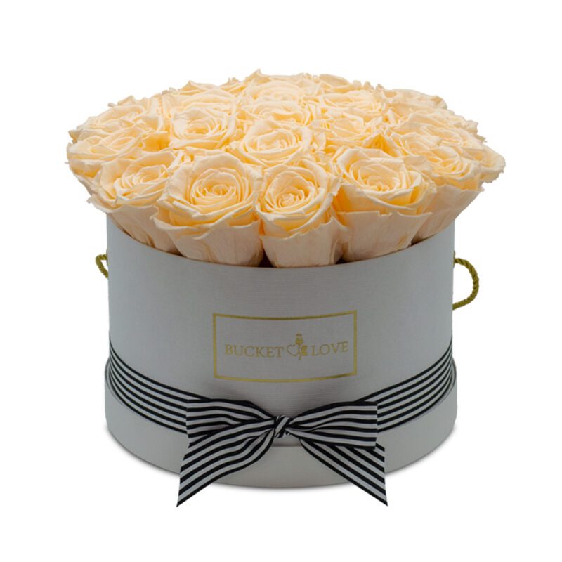 Apricot-Elegance_159