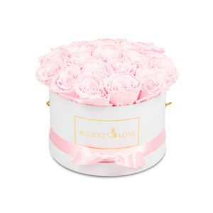 Zurück zu You_Bucket von Love_4