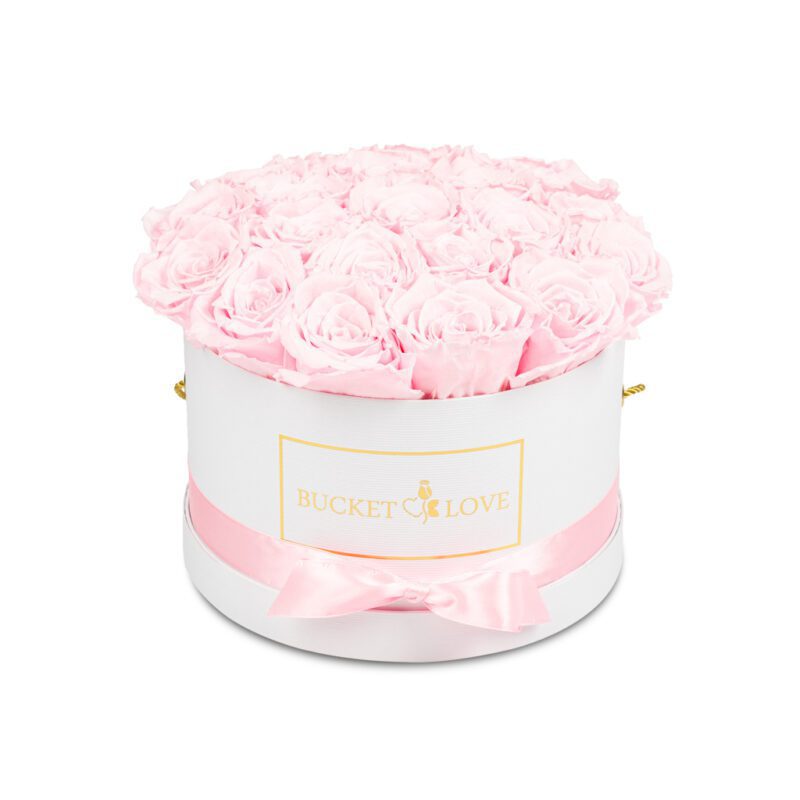 Zurück zu You_Bucket von Love_4