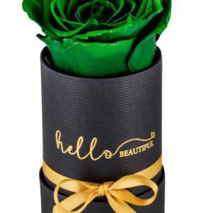 My Heart Eternal Rose