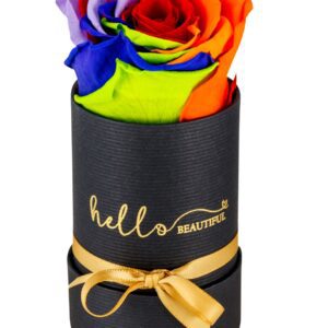 Bucket-Of-Love_rainbow-1