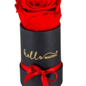 Bucket-Of-Love_red-e1605461181435