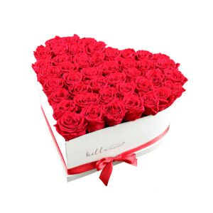 red roses in the box of the shape of the heart in white box