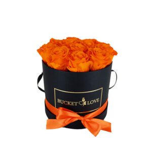orange roses in a circled shape