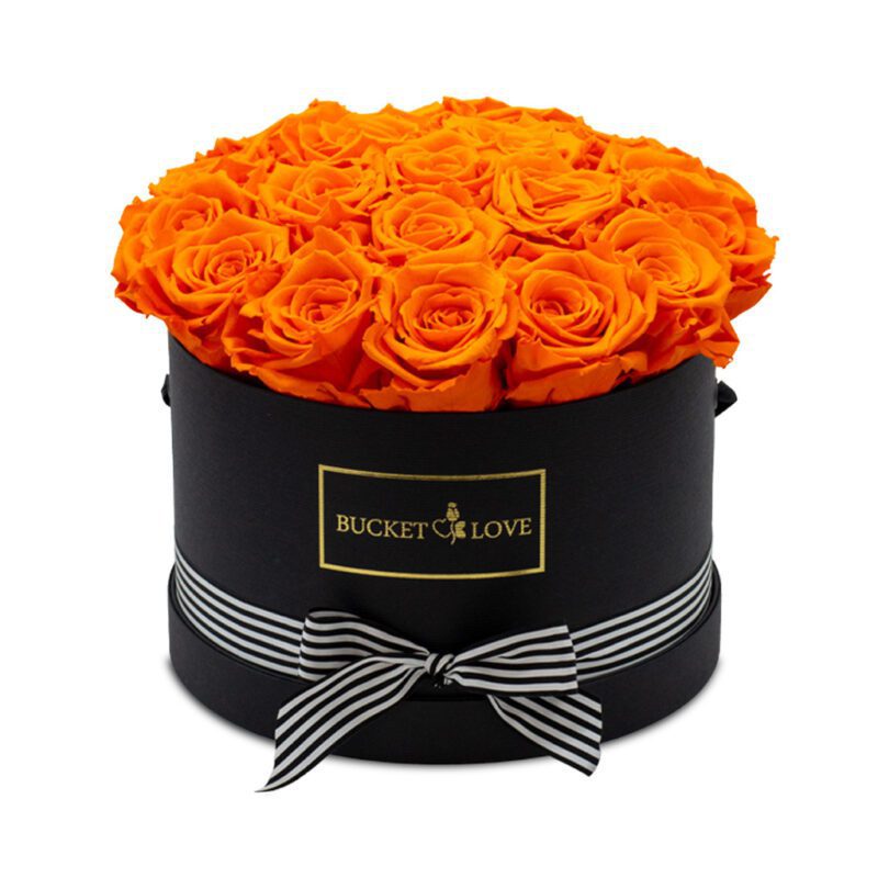 Dawn-of-Orange-Roses_159