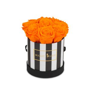 Daylight_Bucket-of-Love_2