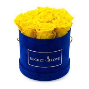 Eyecandy (forever roses)