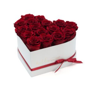 HELLO-BEAUTIFUL_SMALL