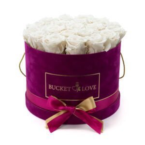 Honey Bunny (forever roses)
