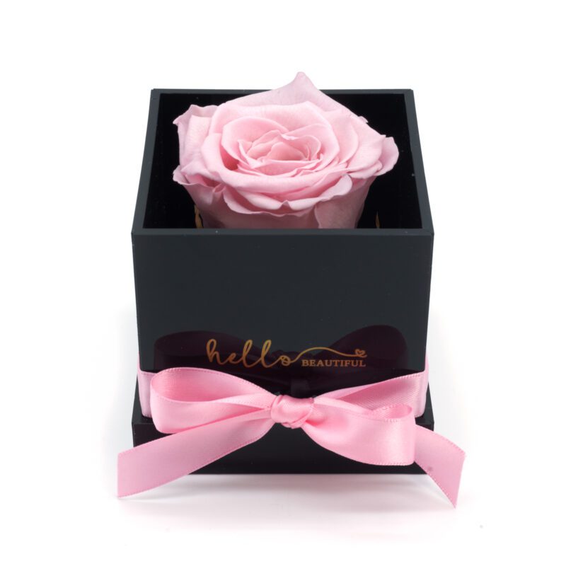 Hello-Beauty_45-eur