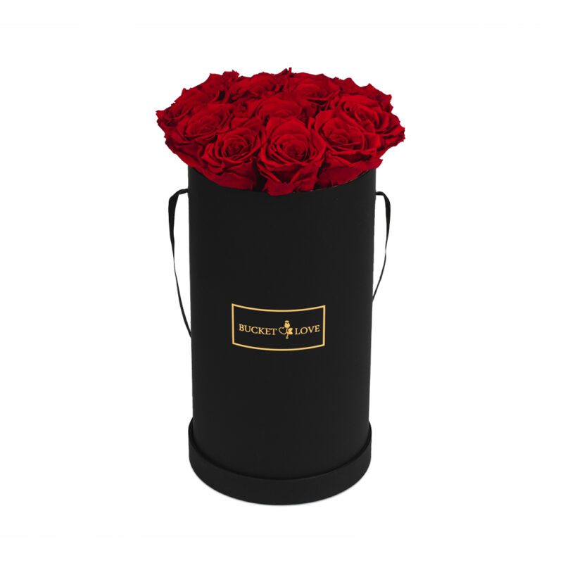 High-on-Love_Bucket-of-Love_3_100