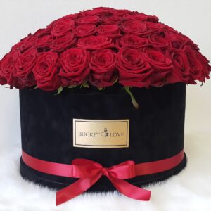 101 Umarmungen & Küsse