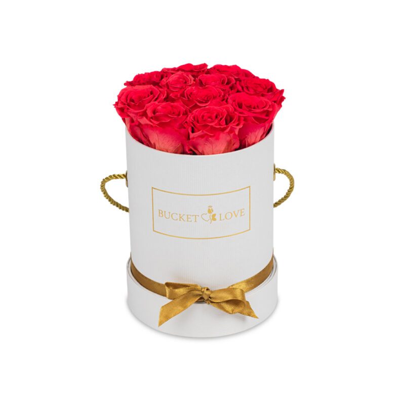 In meinem Feelings_Bucket Love_1