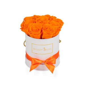 Love-on-Fire_Bucket-of-Love_2