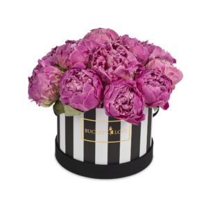 Magic (forever roses)
