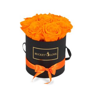 My-Pumpkin_Bucket-of-Love_2