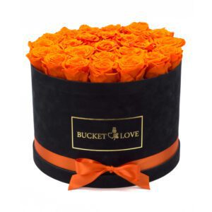 My-Pumpkin_Bucket-of-Love_5