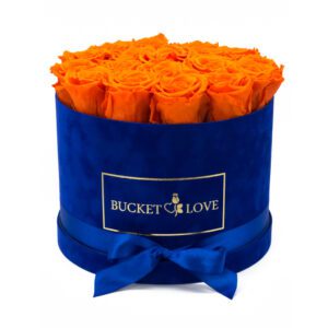 Passion Unlocked (forever roses)