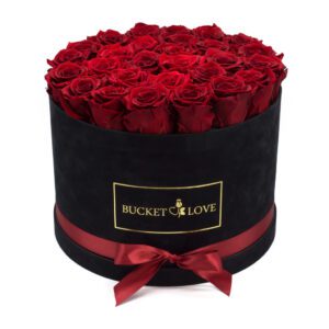 Precious Lady (forever roses)