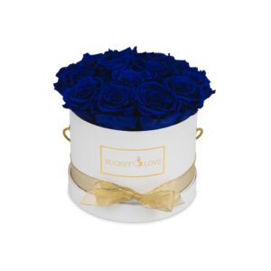 Promises_Bucket-of-Love_3