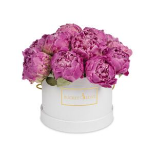So Special (forever roses)
