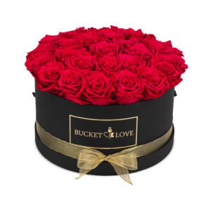 Speechless_Bucket-of-Love_5