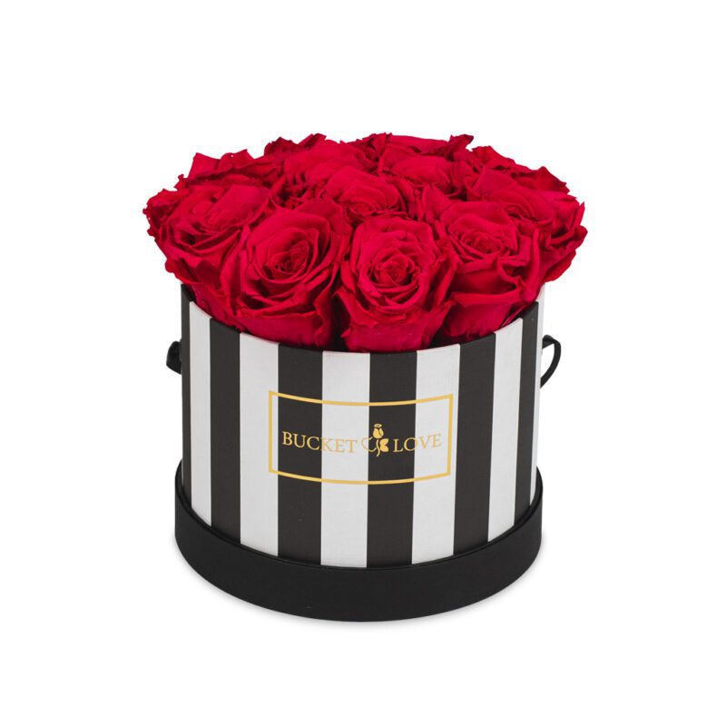 Wish-You-Were-Here_Bucket-of-Love_3