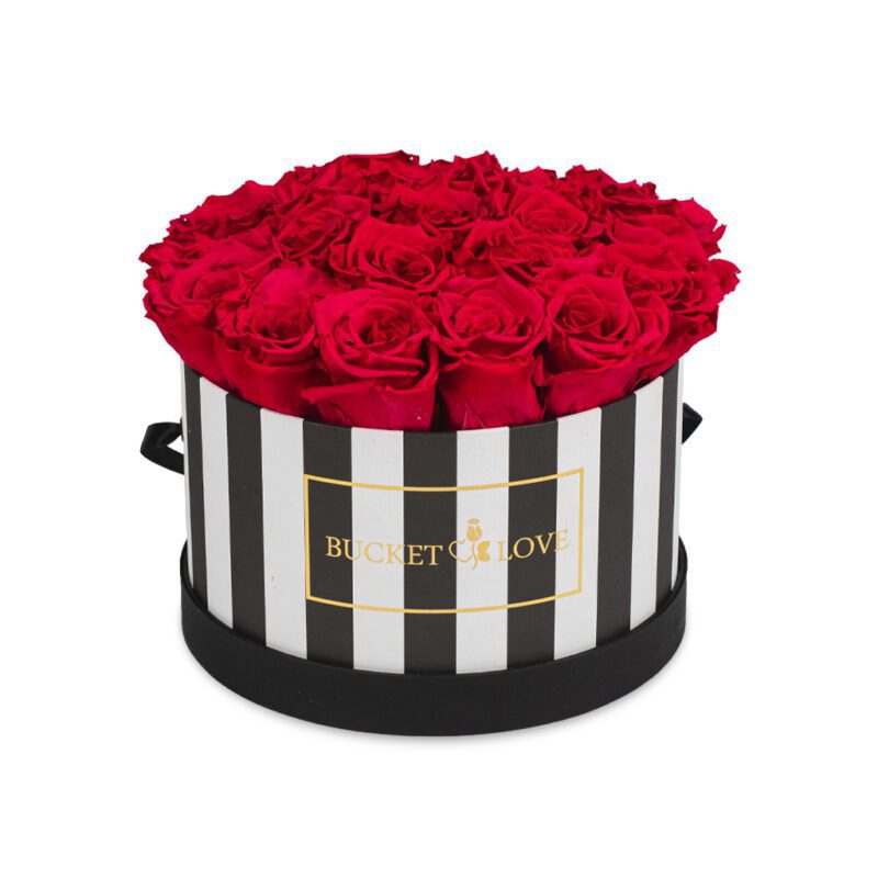 Wish-You-Were-Here_Bucket-of-Love_4