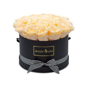 With-all-my-heart_159