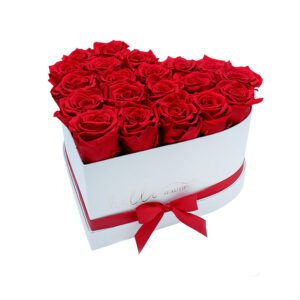 bucket-of-love-mini-red-heart-white-box_SMALL-1