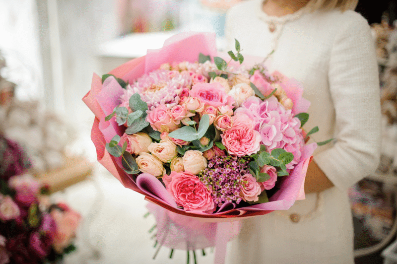 shutterstock_2025783494_zmanjsana_final