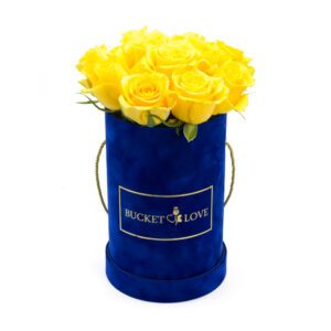 Bucket of Love