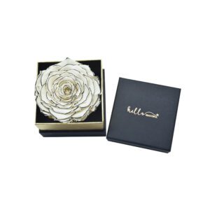 Forever together-white (forever rose)