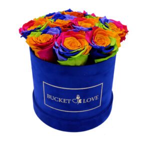 bucket_of_love_king_blue_velvet