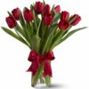Rdeči tulipani