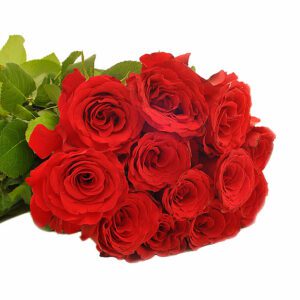 48_ravishing_romance_fa10965_enlarge-2