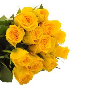 53_soulful_sunshine_fa10976_enlarge-2