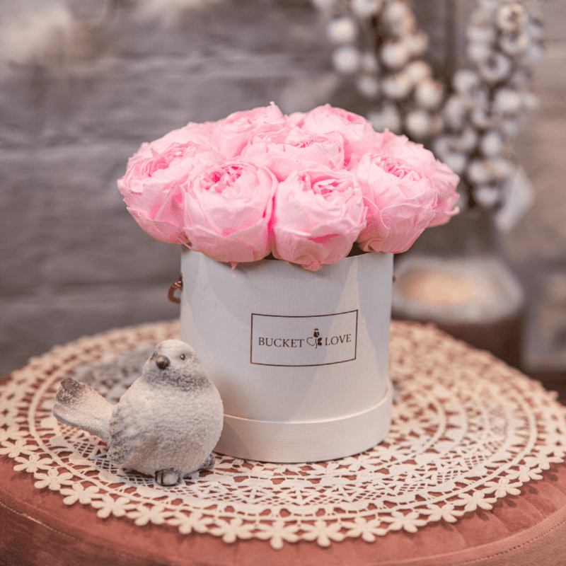 english roses