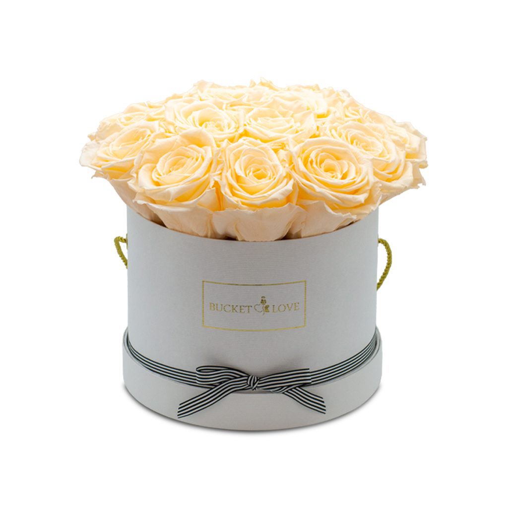 Apricot Elegance (večne vrtnice) - slika 4