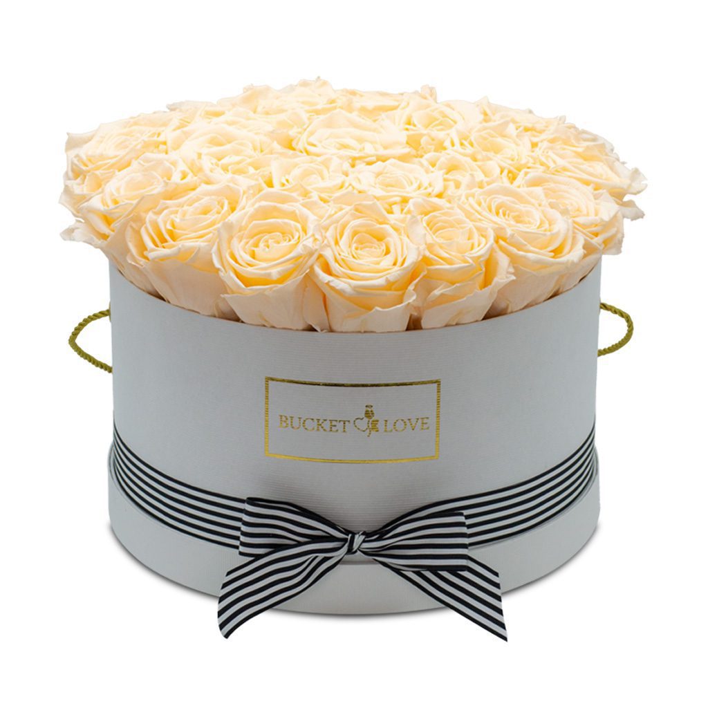 Apricot Elegance (večne vrtnice) - slika 3