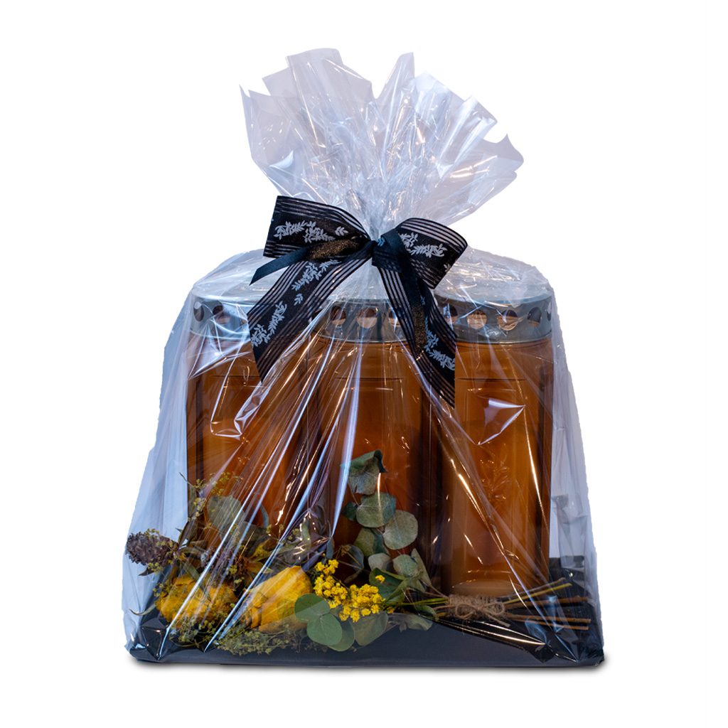 Apricot Elegance (večne vrtnice) - slika 36