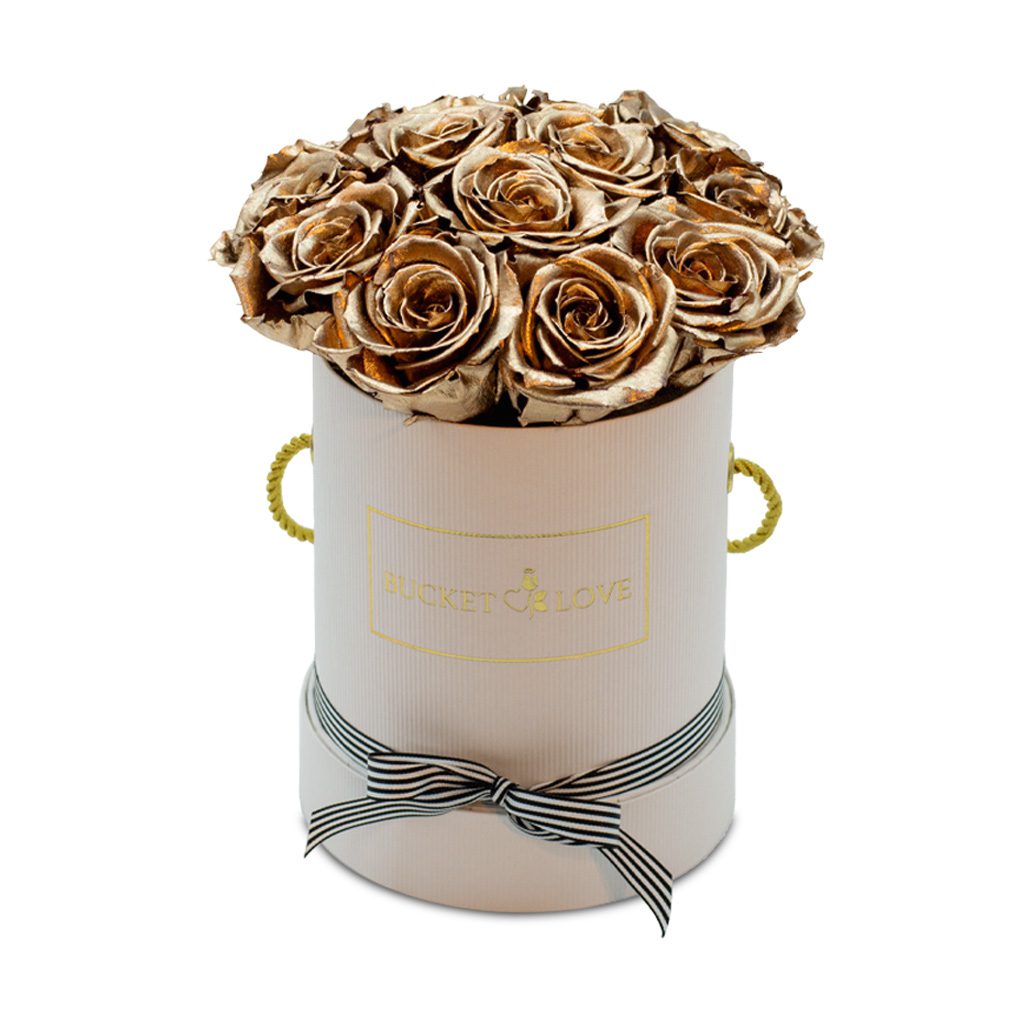 Apricot Elegance (večne vrtnice) - slika 47
